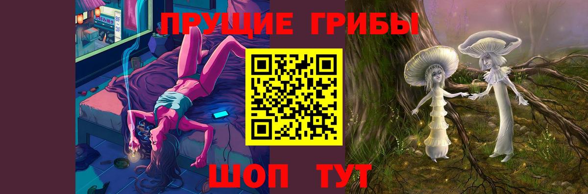 Галлюциногенные грибы ЛСД  Вход с VPN  Большой Камень 